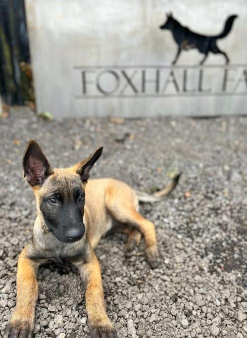 Foxhall Farm ثيرسك المظهر الخارجي الصورة