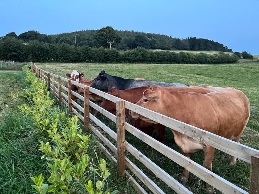 Foxhall Farm ثيرسك المظهر الخارجي الصورة