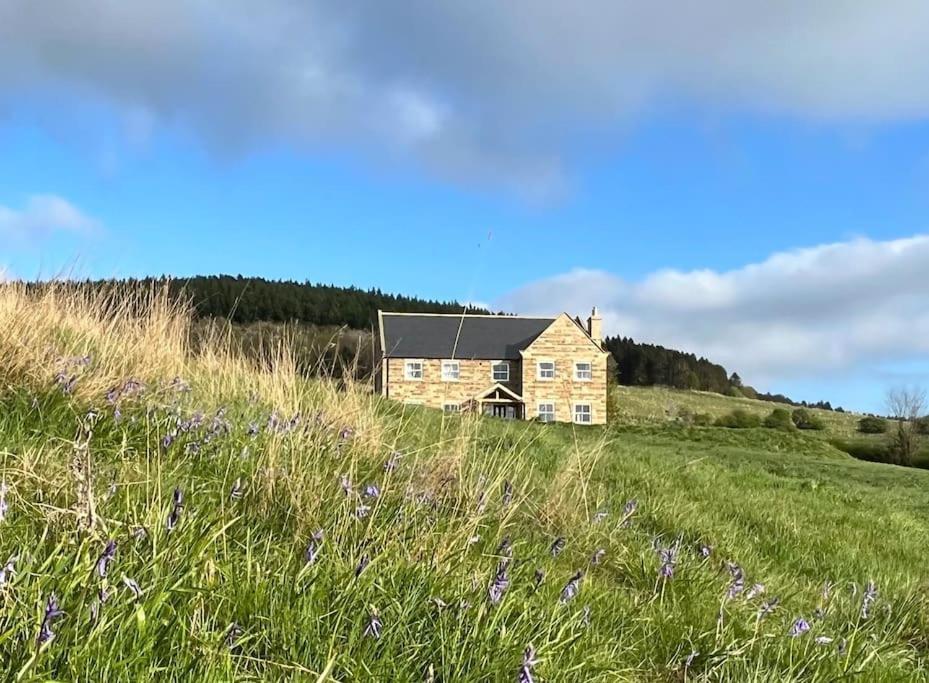 Foxhall Farm ثيرسك المظهر الخارجي الصورة
